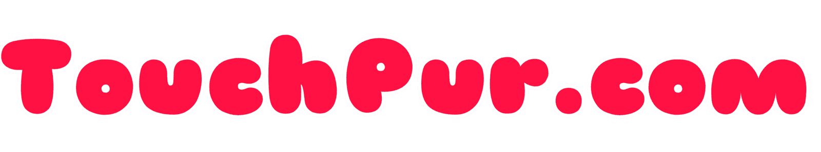touchpur.com